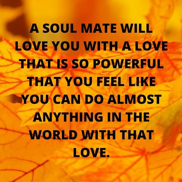 quotes from the soulmate