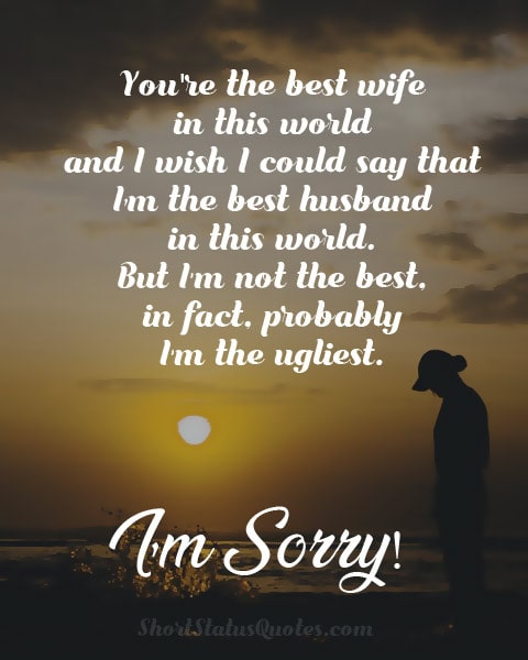Emotional-I’m-Sorry-Status-for-Wife