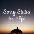 Sorry Status For Wife – Romantic Sorry Message and Captions For Wife