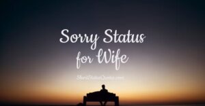 Sorry Status For Wife – Romantic Sorry Message and Captions For Wife
