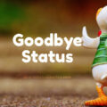 1556609203 Goodbye Status Captions Quotes Goodbye Text Messages Goodbye Status, Captions, Quotes & Goodbye Text Messages