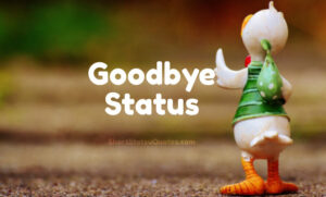 Goodbye Status, Captions, Quotes & Goodbye Text Messages