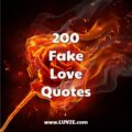 fake love quotes