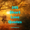 245 Short Love Quotes For Him and Her short love quotes