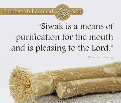 Sunnah to follow in daily life (15)