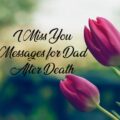 1558083626 I Miss You Messages For Dad After Death I Miss You Messages For Dad After Death