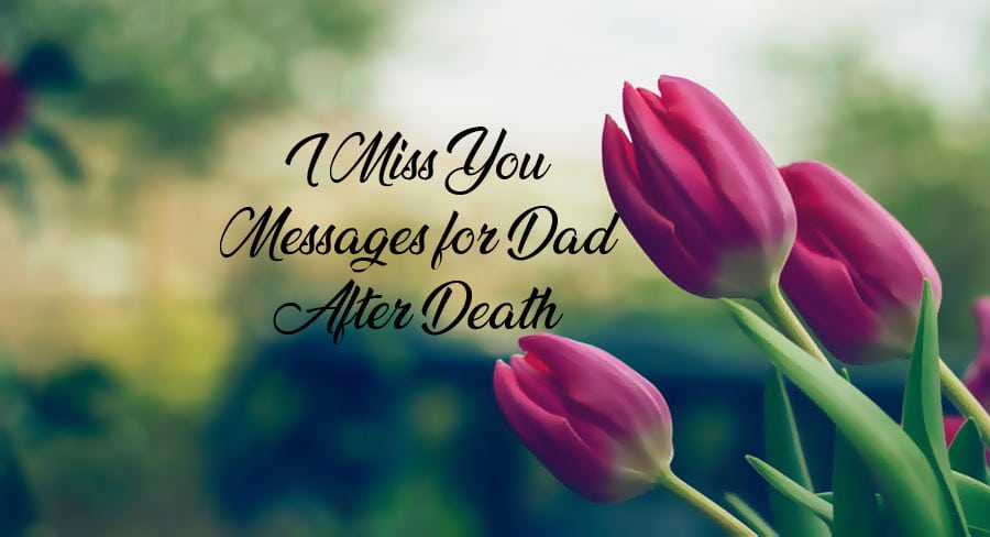 I Miss You Messages For Dad After Death
