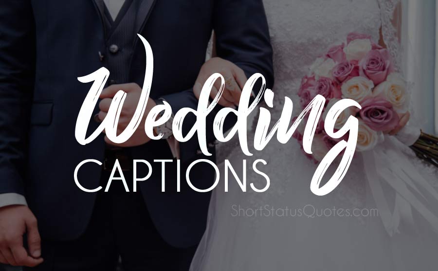 Wedding Captions Best Wedding Photo Caption For Instagram And Facebook Festifit 