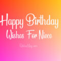 1561271338 Birthday Wishes for Niece Birthday Messages and Quotes Birthday Wishes for Niece - Birthday Messages and Quotes