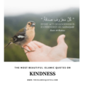 Kindness In Islam 10 Best Islamic Quotes on Kindness islamic quotes on kindness