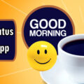 50 Good Morning WhatsApp Status Video Download Free HD 50+ Good Morning WhatsApp Status Video Download Free HD