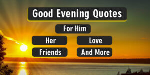 Good Evening Quotes For Him, Her, Love, Friends, & More