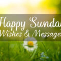 1573821569 Sunday Messages Happy Sunday Wishes Quotes Quotes About Sunday