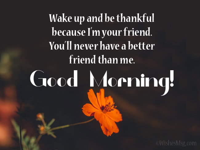 Funny good morning wishes for a friend