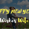 2020 Happy New Year Wishes for Wife Life Partner - [*2024*] Happy New Year Wishes for Wife, Life Partner