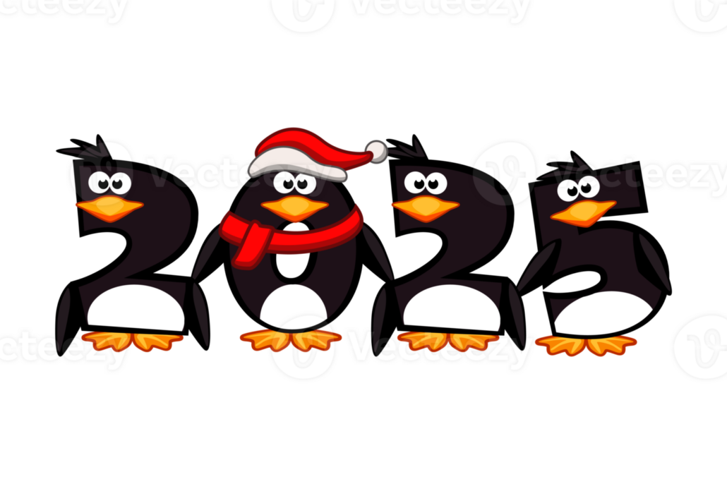 FestiFit
