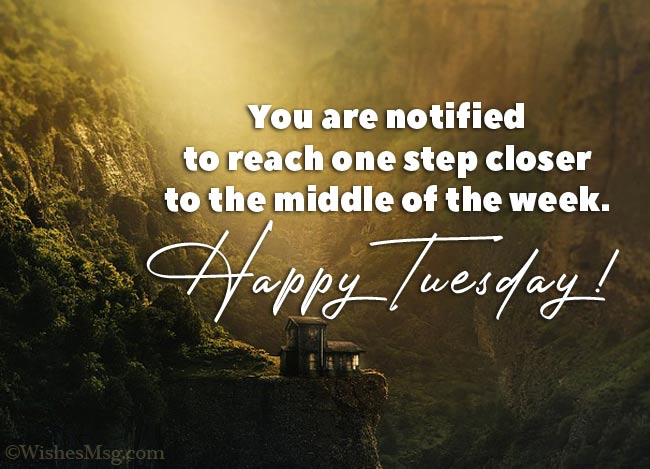 Tuesday Wishes : Happy Tuesday Messages and Quotes - FestiFit