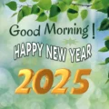 Good Morning 2025 Happy new Year image green background Good Morning 2025 Happy New Year Image Green Background