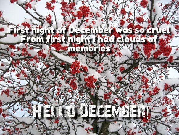 Romantic December Quote Images