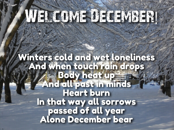 welcome december pictures