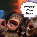 funny happy new year 2022 pics Funny Happy New Year 2023 Pics