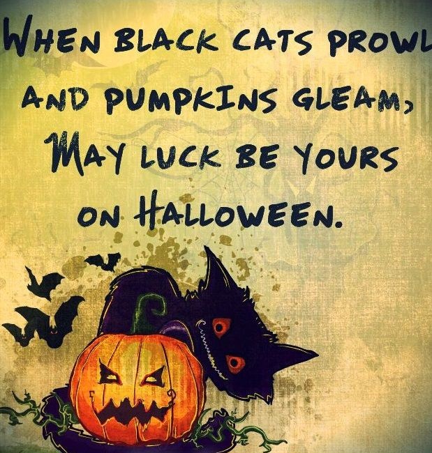 Halloween Black Cat Quotes & Sayings