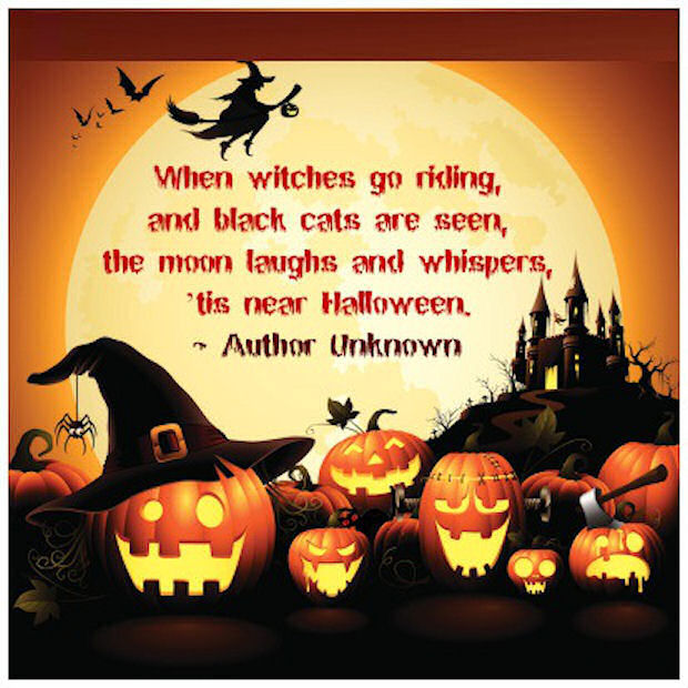 Halloween Black Cat Quotes With Pictures
