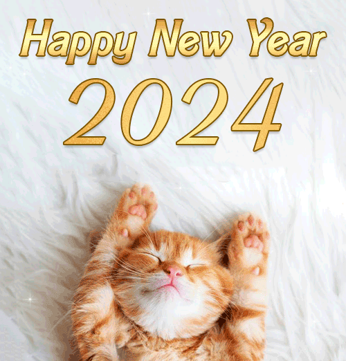 Happy New Year 2024 Funny Cat Gif Animated