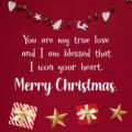 You are my true love and i am blessed that i won your heart Merry Christmas You Are My True Love And I Am Blessed That I Won Your Heart! Merry Christmas