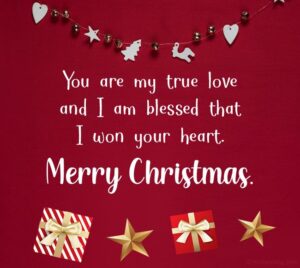 You Are My True Love And I Am Blessed That I Won Your Heart! Merry Christmas