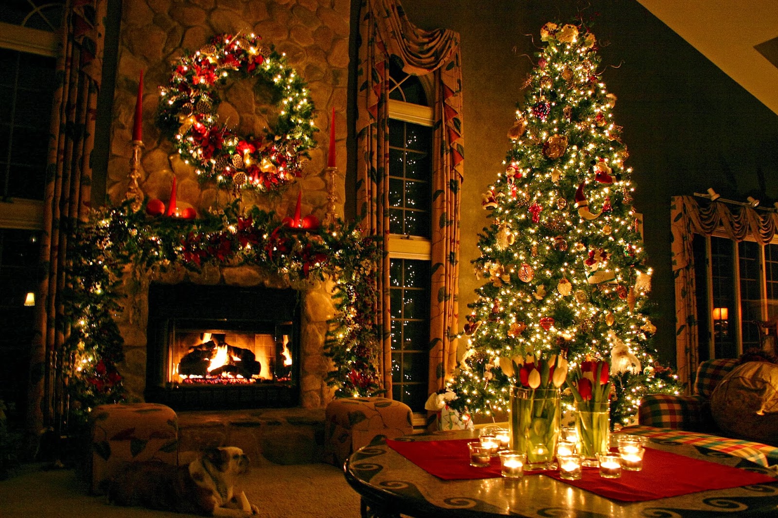Christmas Tree 2017 lights HD images