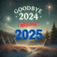 Goodbye 2024 Welcome 2025