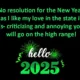 New Year Resolution Quote Funny 2025