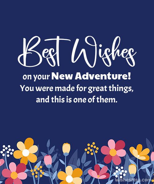 best wishes on your new journey meaning best wishes on your new journey meaning - Best wishes on your new journey meaning