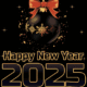 Happy New Year 2025 Gif 12