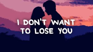 i dont want to lose you meaning i dont want to lose you meaning - I don't want to lose you meaning