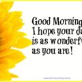 i hope your day is as wonderful as you are meaning i hope your day is as wonderful as you are meaning - I hope your day is as wonderful as you are meaning