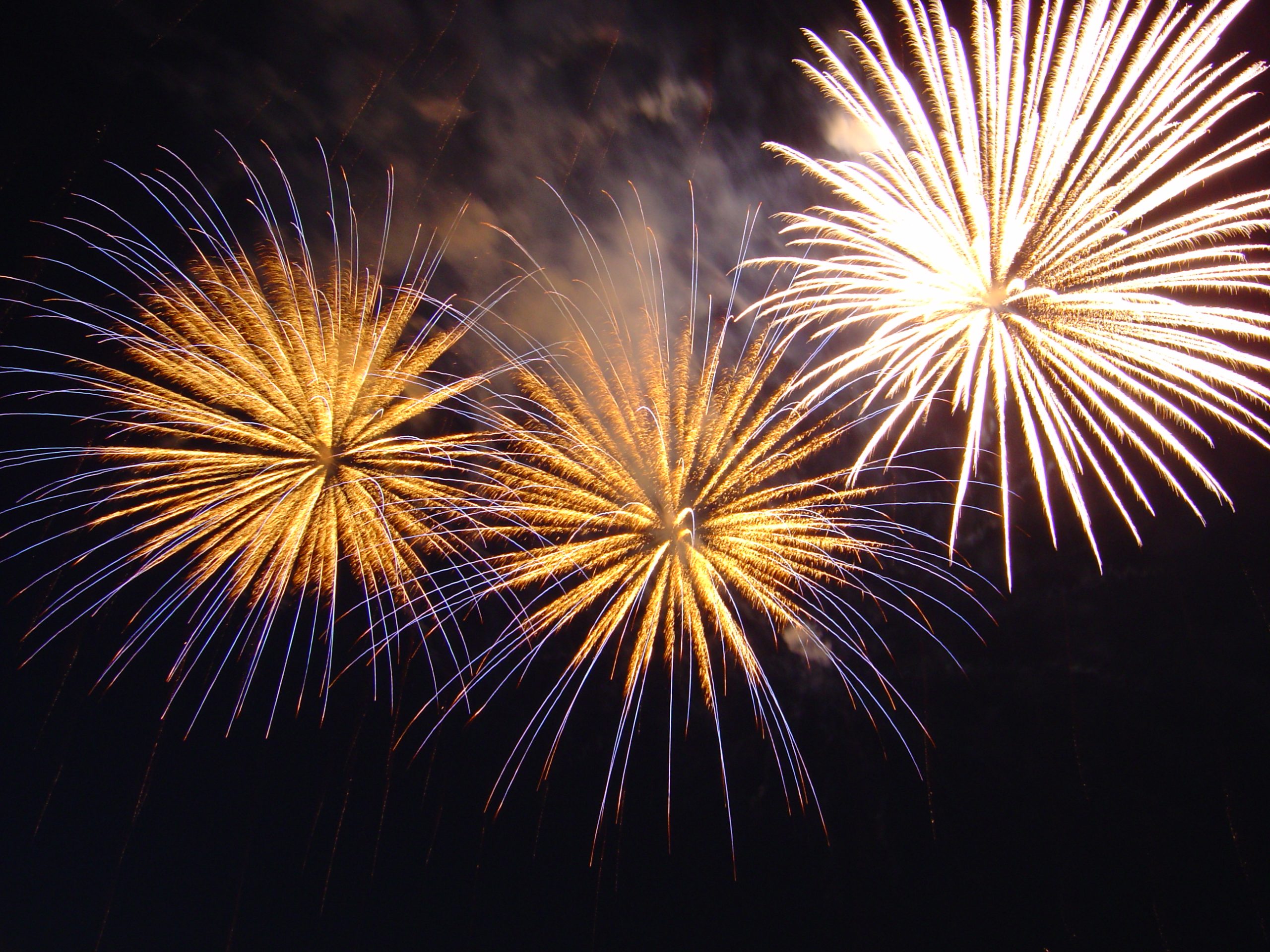 Three golden New Year fireworks bursts against a black night sky