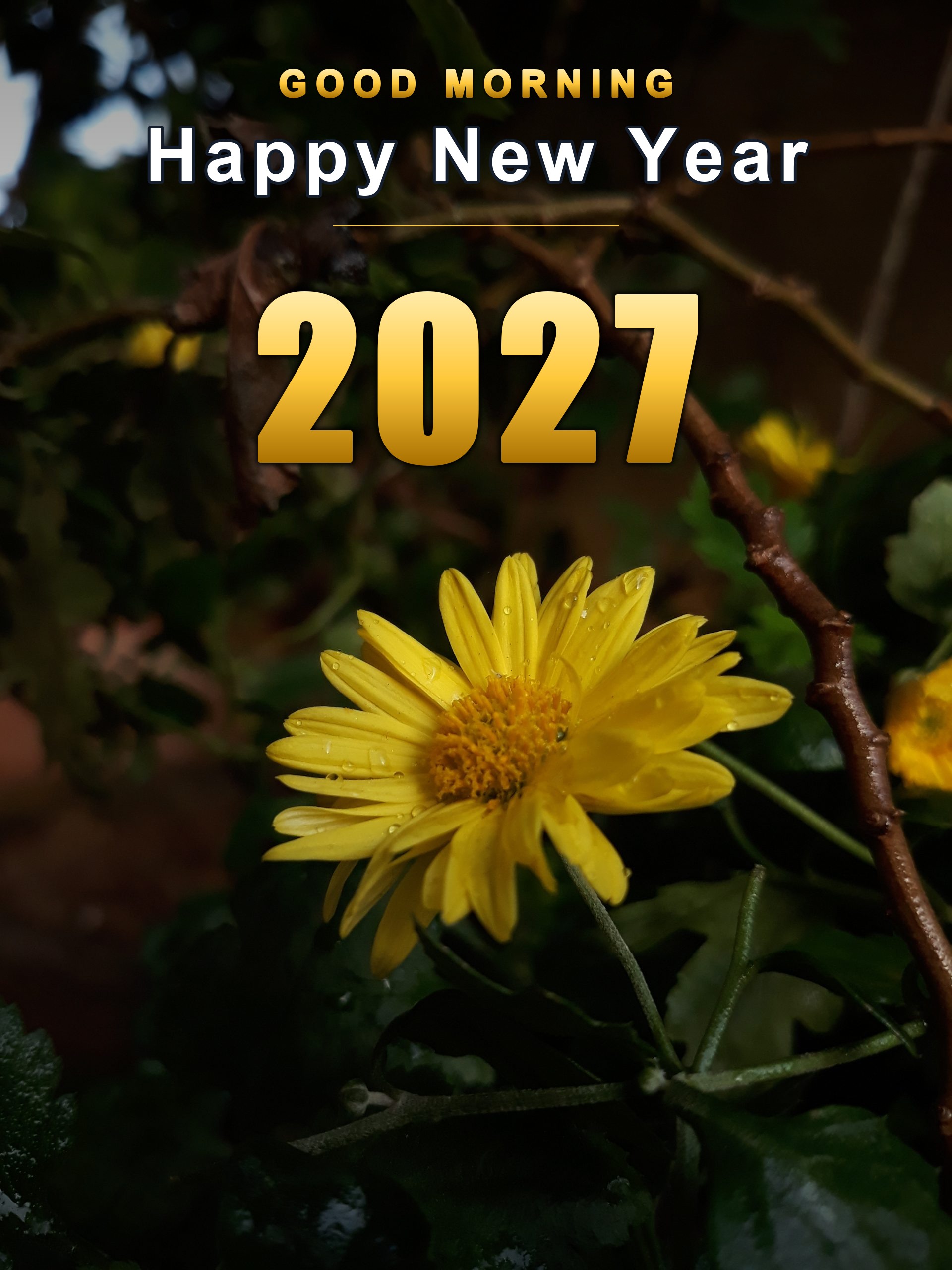 Good Morning Happy New Year 2027 in gold over a yellow morning daisy, vertical