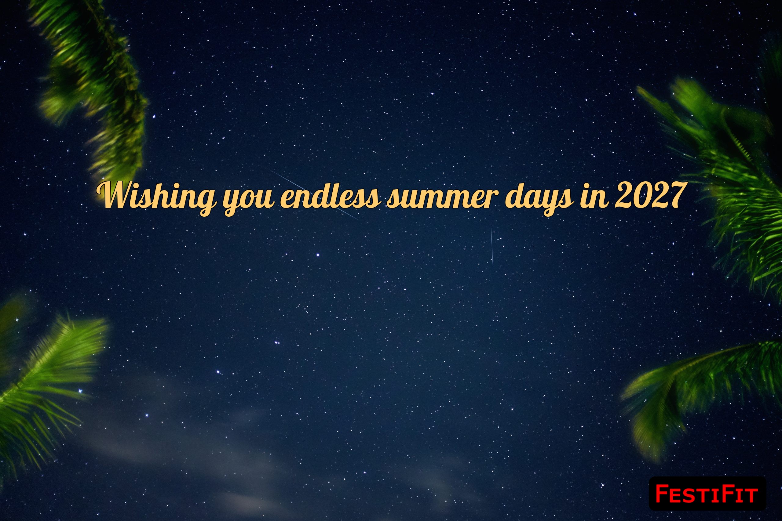 Wishing you endless summer days in 2027 over palm trees and starry beach night
