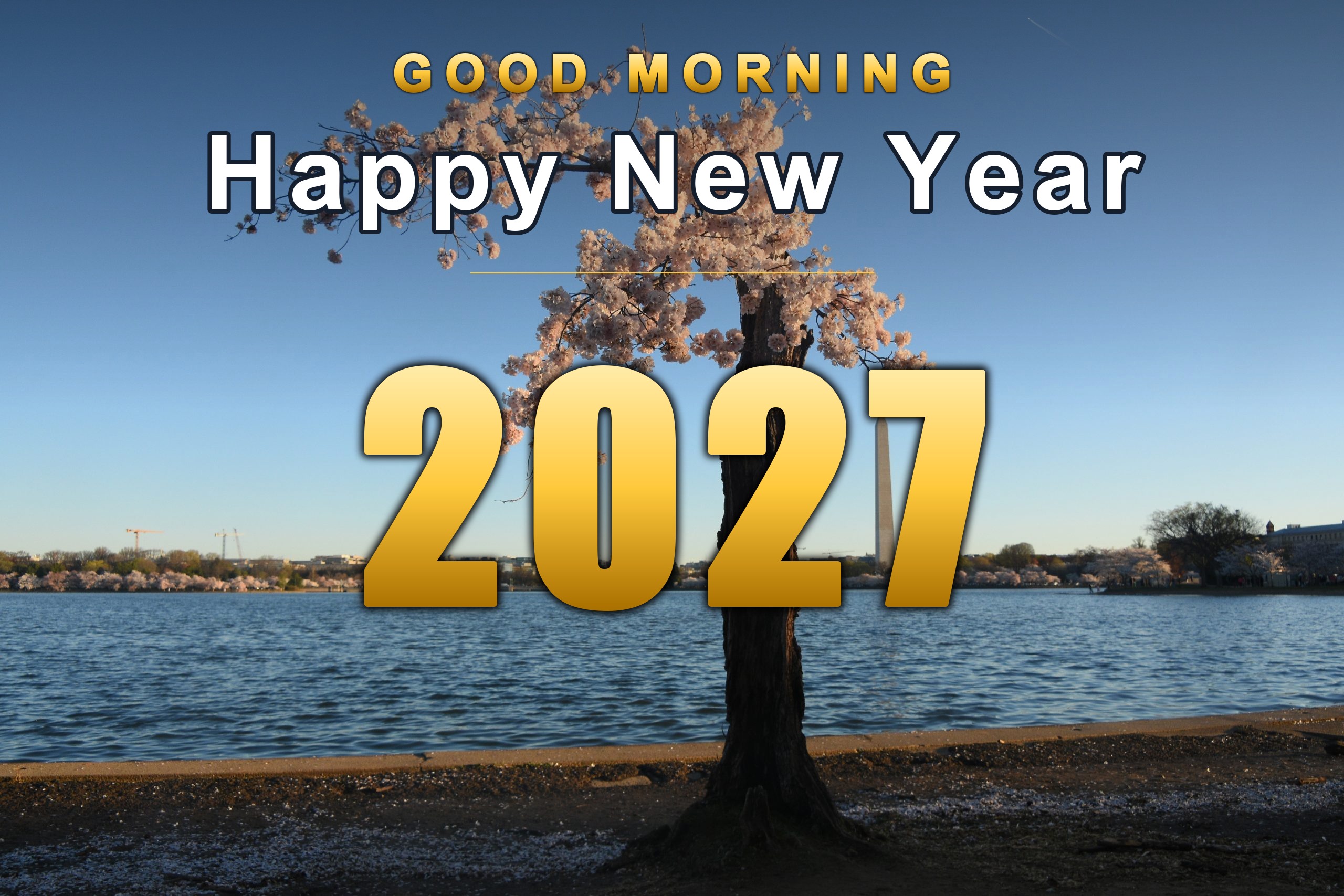 bwle70 Good Morning Happy New Year 2027 in gold over cherry blossoms in morning light