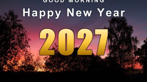 bz28tw Good Morning Happy New Year 2027 Sunrise Birds