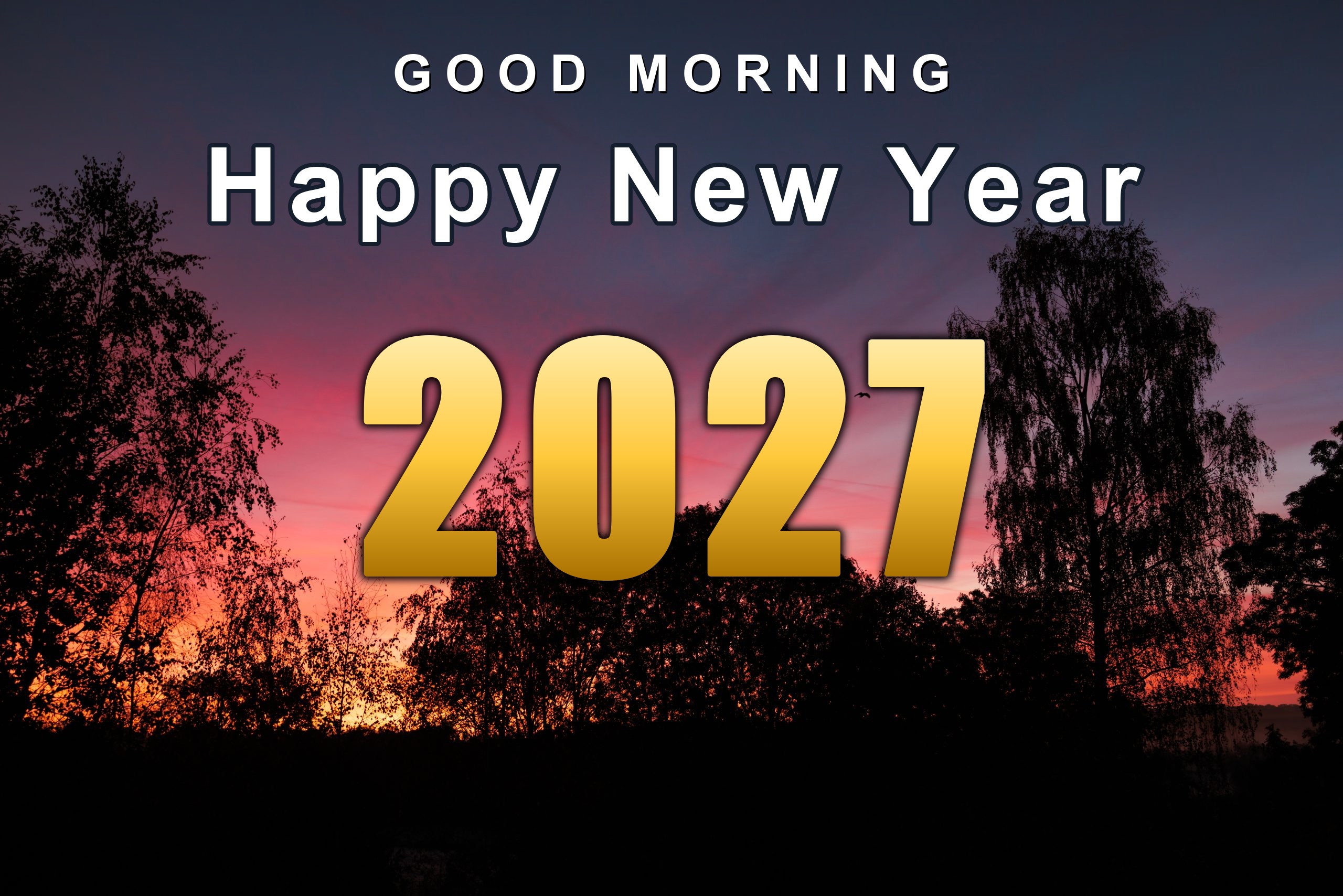 bz28tw Good Morning Happy New Year 2027 over a pink sunrise with bird silhouettes