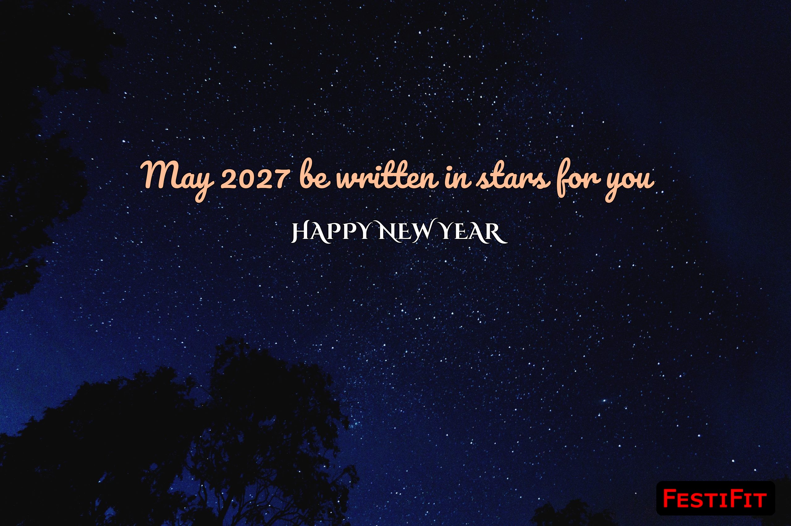 May 2027 be written in stars for you Happy New Year wish over starry night sky