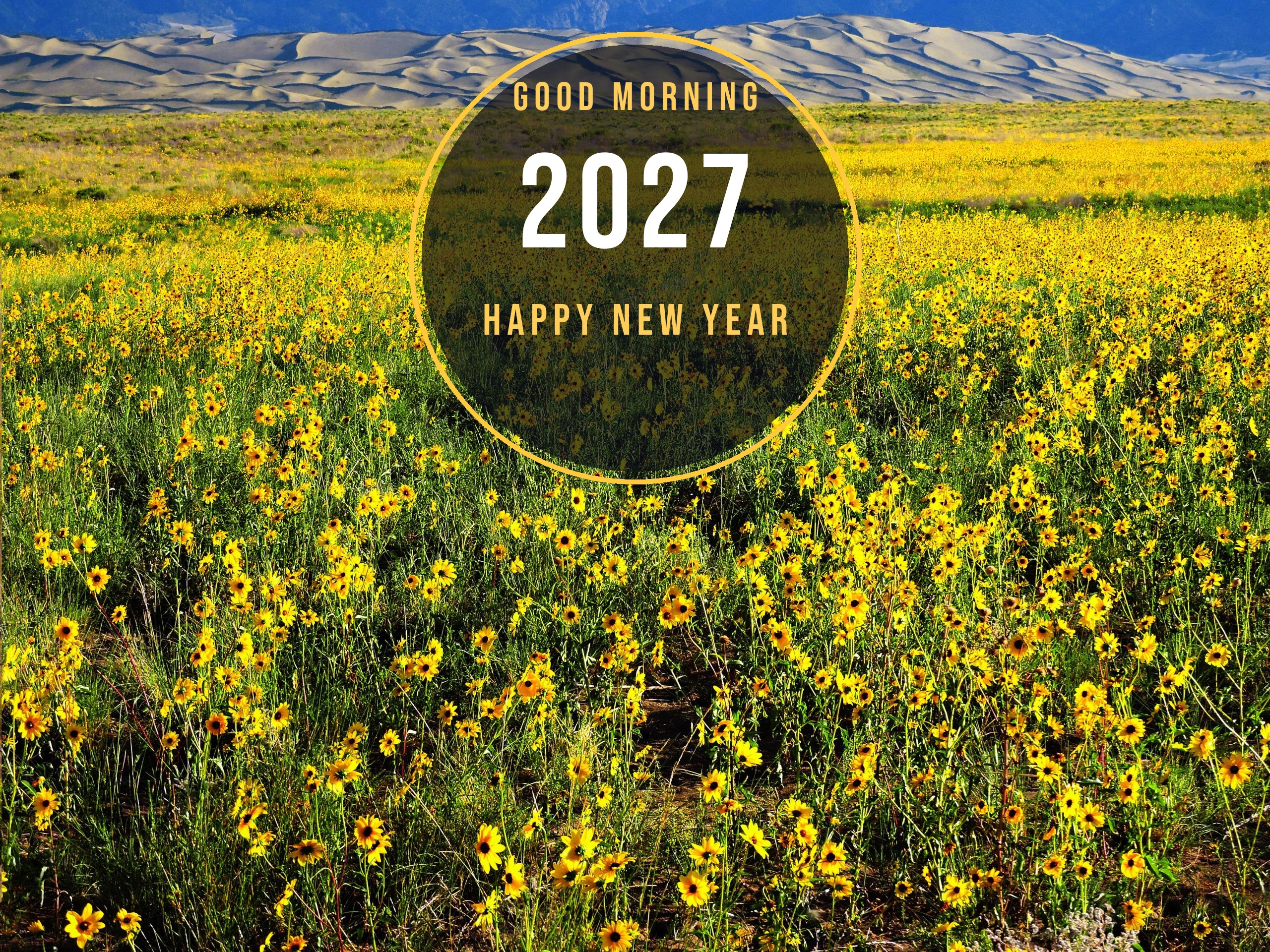 y5yhky Good Morning Happy New Year 2027 badge over a sunflower field